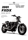 2001 HARLEY FXDX TICKET ENTRY